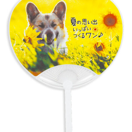 犬